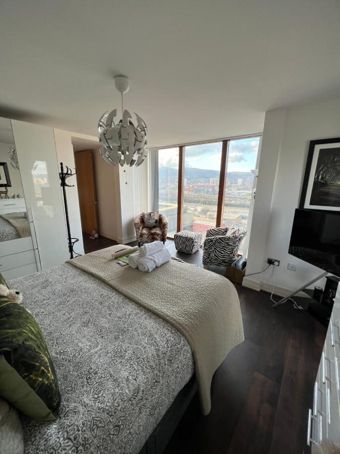 King Room Mountain View