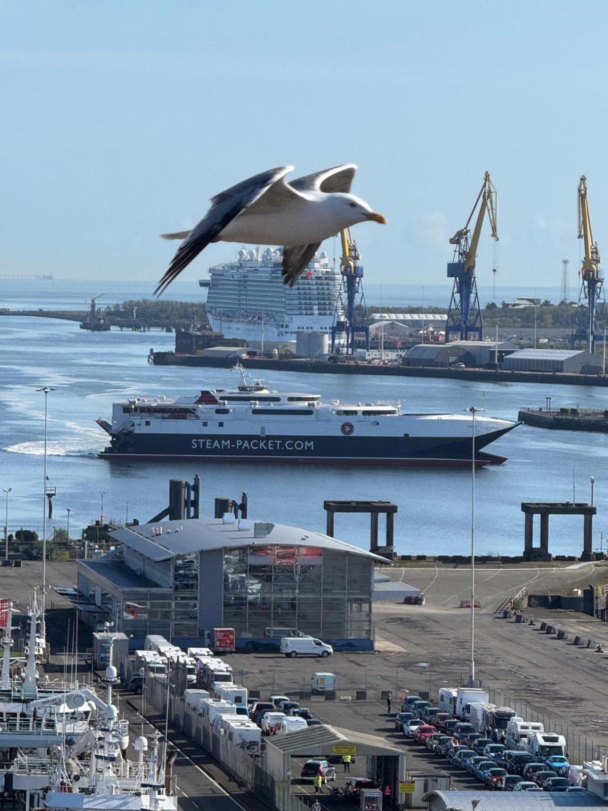 Family Two-Bedroom Apartment View